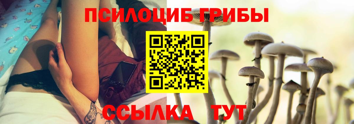 Гусиноозёрск  Галлюциногенные грибы Psilocybine cubensis  цена наркотик  Вход с VPN 