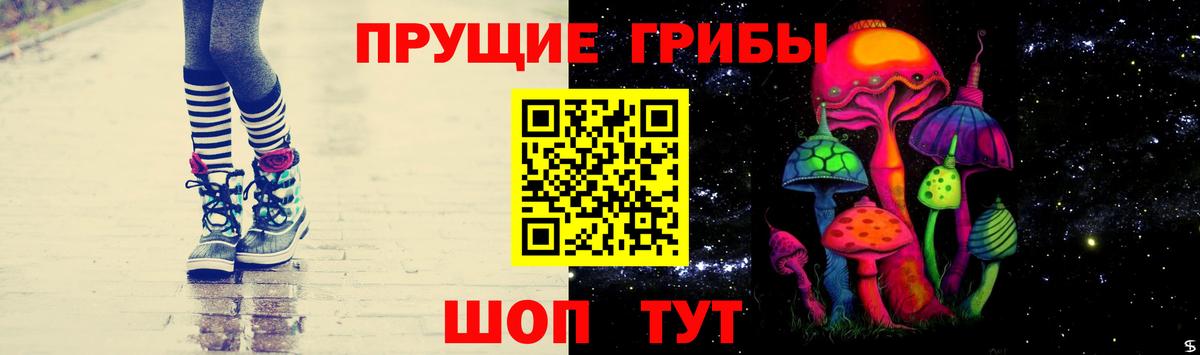 Галлюциногенные грибы ЛСД Гусиноозёрск